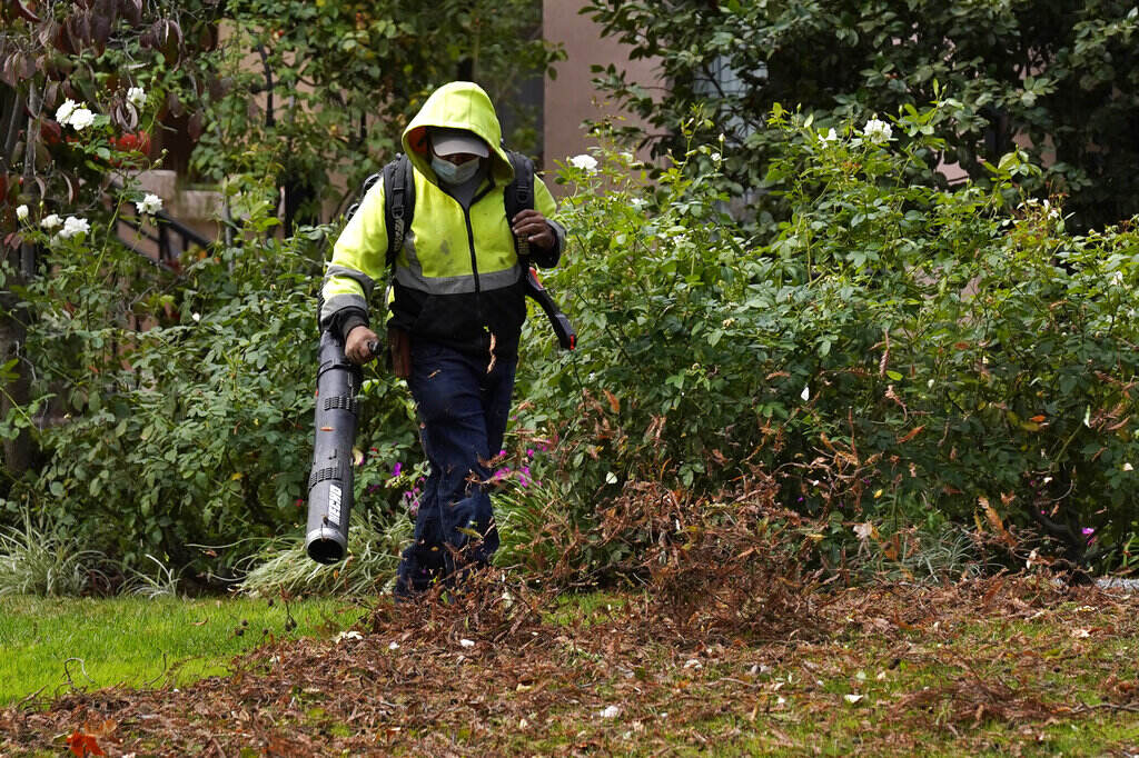 California Air Quality File: A gardener uses a leaf blower to clear leaves at a home in Sacramento, Calif., on Oct. 13, 2021.