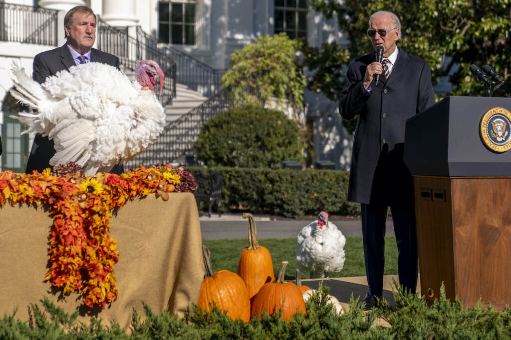 Joe Biden, Ronald Parker President Joe Biden, accompanied by Ronald Parker, Chairman of the National Turkey Federation, left, speaks next to Chocolate, the national Thanksgiving turkey, left, during a pardoning ceremony at the White House in Washington, Monday, Nov. 21, 2022. Chip, the national Thanksgiving turkey, is at bottom right. (AP Photo/Andrew Harnik)