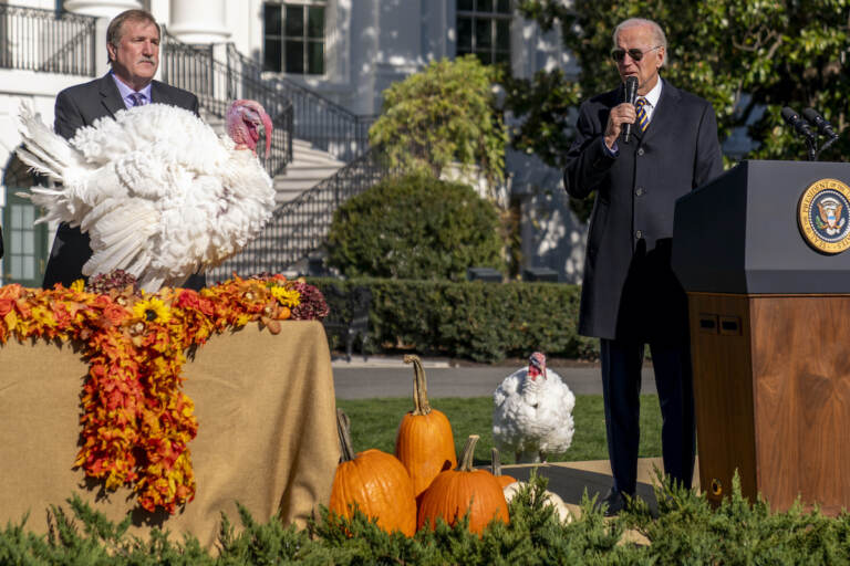 President Joe Biden, accompanied by Ronald Parker, Chairman of the National Turkey Federation, left, speaks next to Chocolate, the national Thanksgiving turkey, left, during a pardoning ceremony at the White House in Washington, Monday, Nov. 21, 2022. Chip, the national Thanksgiving turkey, is at bottom right. (AP Photo/Andrew Harnik)