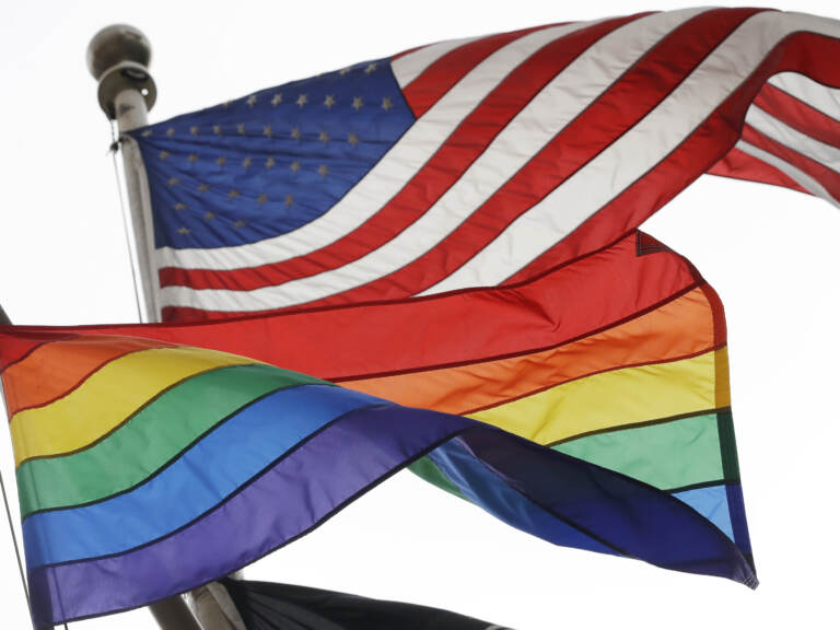 A record number of openly LGBTQ candidates won their midterm races in 2022. (Mark Lennihan/AP)