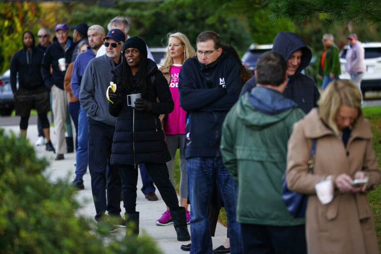 A line of people wait to vote.
