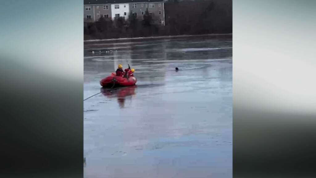 12620293_122722-wpvi-dog-ice-rescue-folo-430pm-video-CC-vid (6abc)