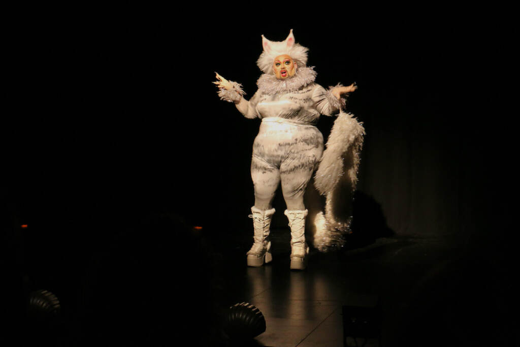 A person dressed as the Cheshire Cat onstage.