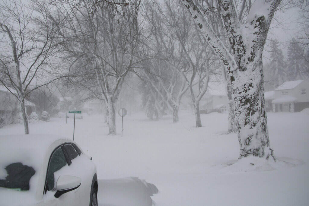 Winter Weather New York A car and trees are covered in snow.