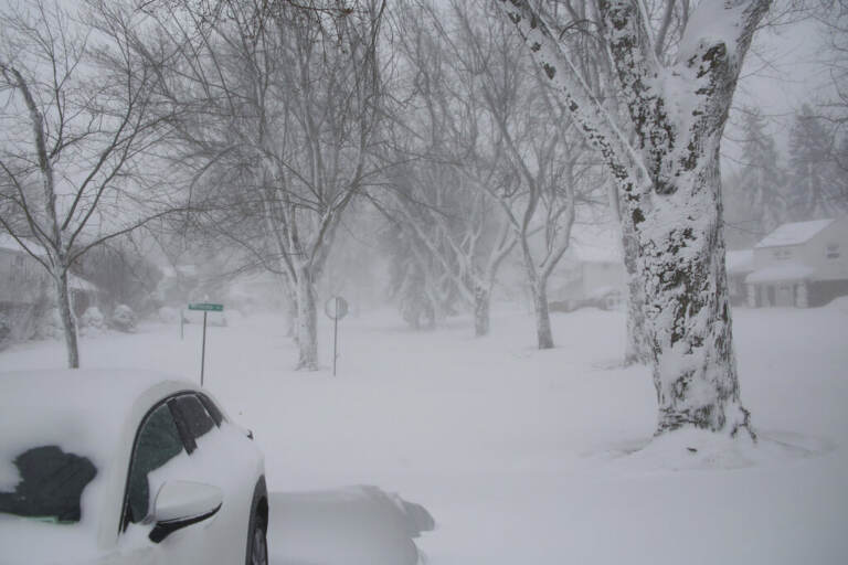 A car and trees are covered in snow.