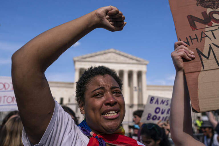 A person raises their fist with the Supreme Court building visible in the background.