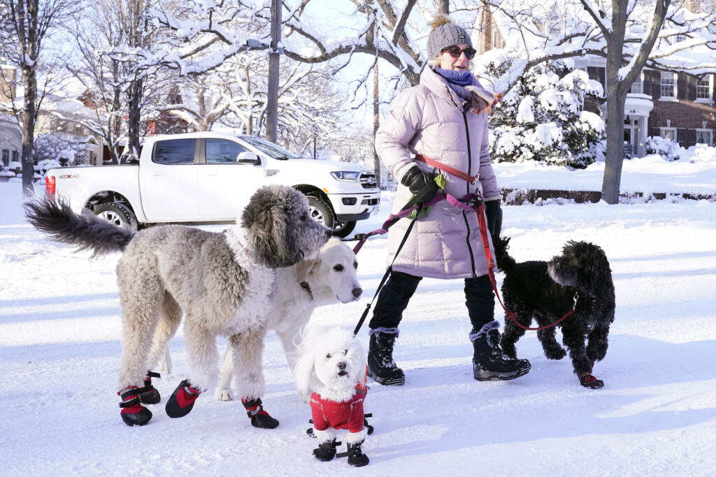 Winter Weather A dog walker named Courtney walks with her dogs near Lake of the Isles