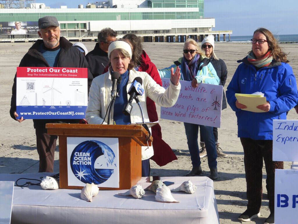 Dead Whales Offshore Wind A group of people stand around a podium, some holding signs. The ocean is visible in the background.
