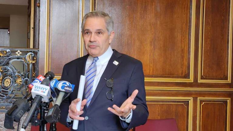 Krasner speaks at a podium into a number of microphones.