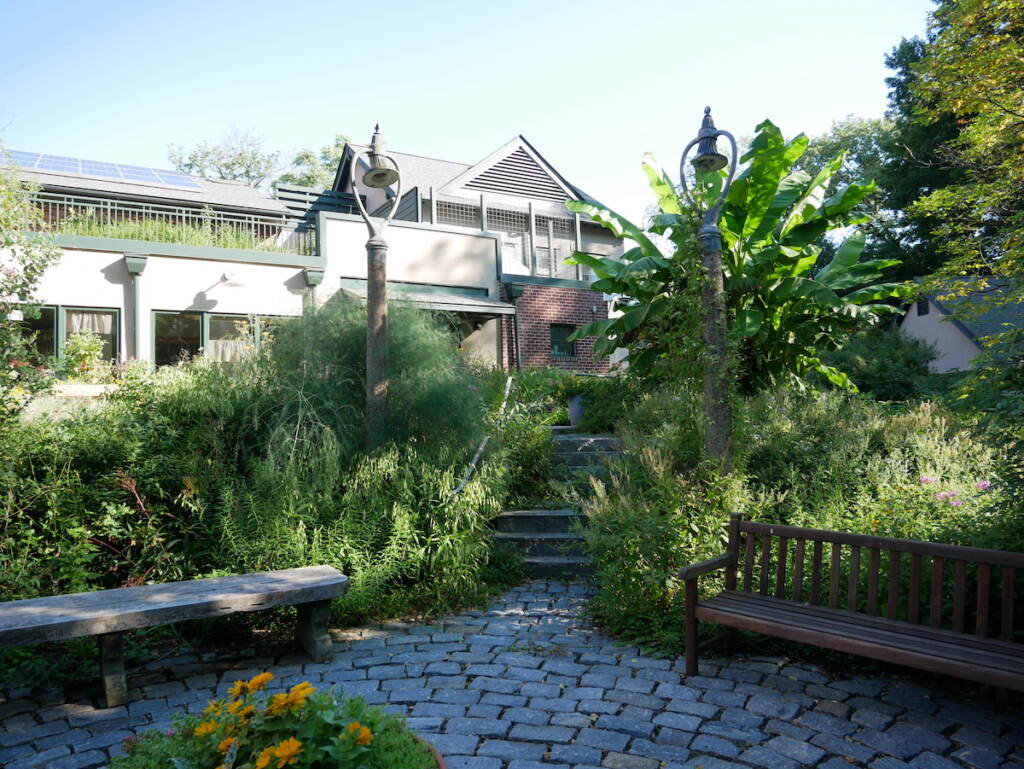 DCH Facility_Back Garden_2022 (4) A backyard with a lot of plants and foliage is visible on a sunny day.