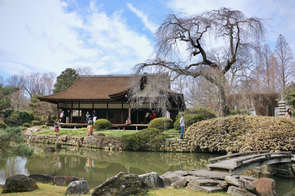 2023 03 22-e lee-philadelphia japanese house-mural restored house A wooden house in traditional Japanese architectural style is visible across a small pond, next to a tall tree with bare branches. Visitors walk about near the house.