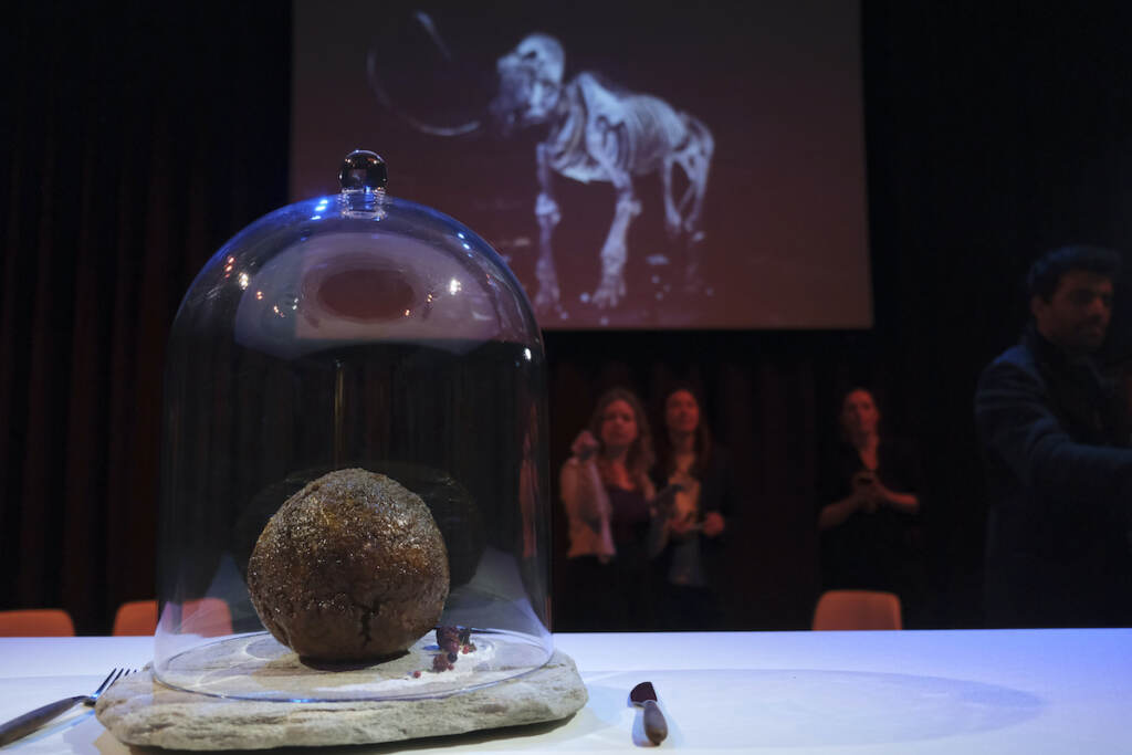 Netherlands Mammoth Meatba A meatball made using genetic code from the mammoth is seen at the Nemo science museum in Amsterdam