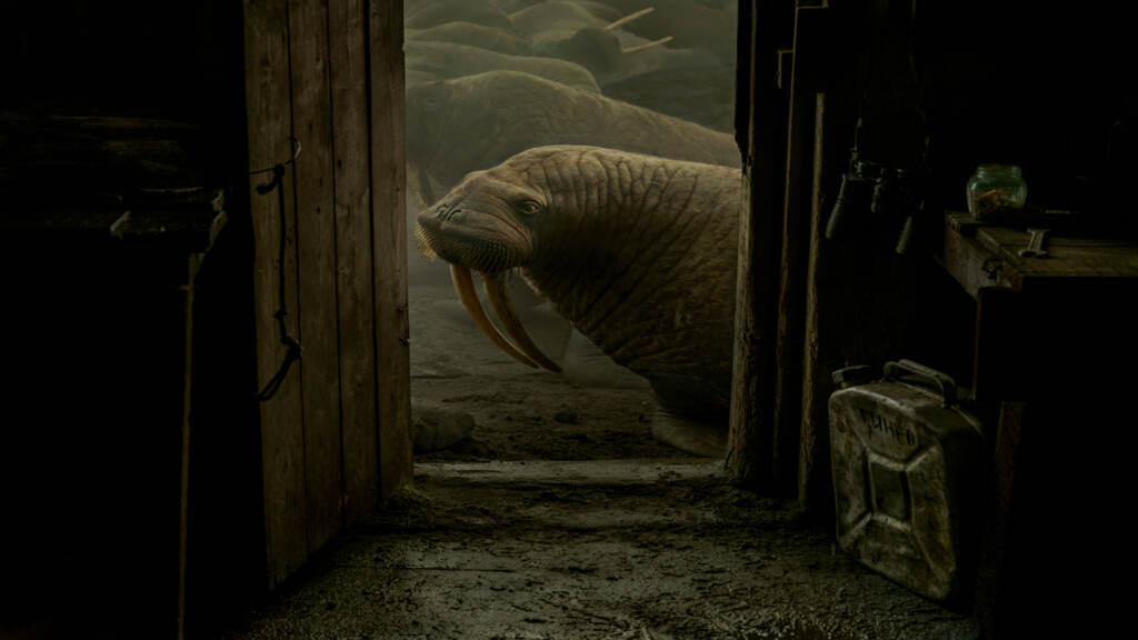 Haulout_Walruses Evgenia Arbugaeva and Maxim Arbugaev spent three months in the Siberian Arctic, filming marine biologist, Maxim Chakilev and his research on how climate change is affecting the pacific walrus population. Their film, Haulout, is nominated for an Academy Award for Best Documentary Short Film for 2023. (The New Yorker Studios)