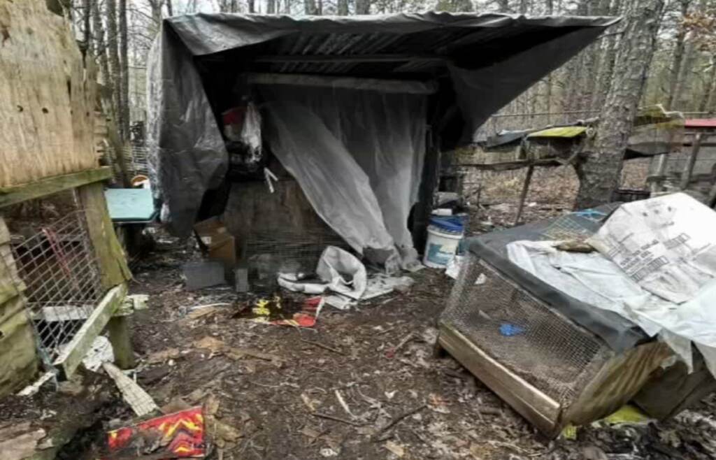 animals-rescued-nj-6abc Roosters, turkeys, chickens, dogs, cats, and other birds were discovered living in deplorable conditions, authorities said. (6abc)