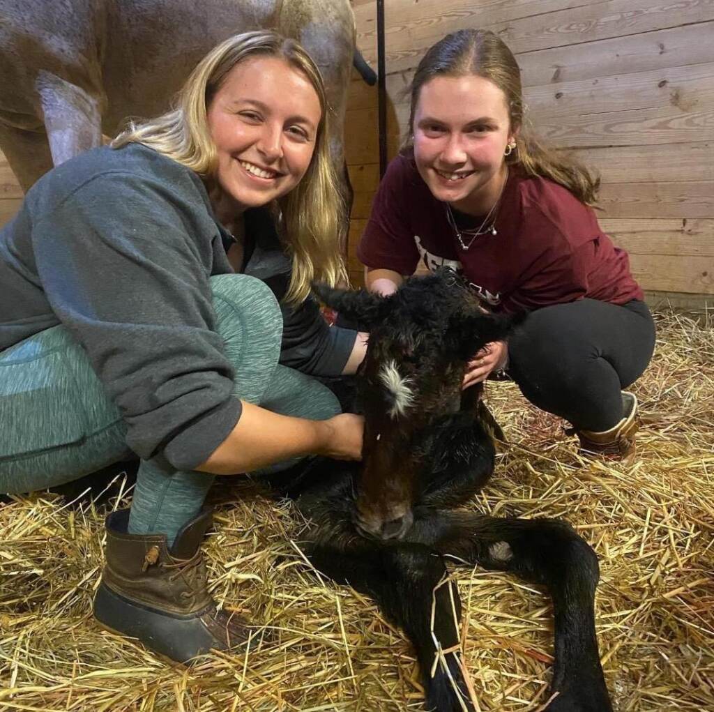 foal Madison and Haley pose with a newly-born filly that is laying in the straw. The mare, the foal's mom, is visible in the background.