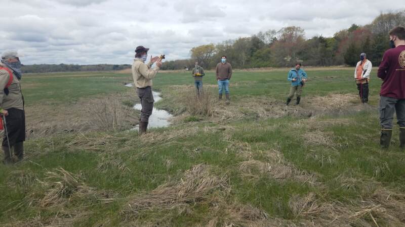 Environmentalists from Ducks Unlimited and other organizations are using $500,000 in funding to restore saltwater marshes in Delaware and New Jersey. Saltwater marshes protect communities from flooding, and provide habitat for birds and fish. (Courtesy of Ducks Unlimited)