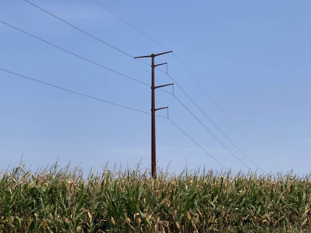 transmission-line-york-county-stateimpact A transmission line stands in a cornfield in Chanceford Township, York County on Sept. 13, 2021. (Rachel McDevitt / StateImpact Pennsylvania)