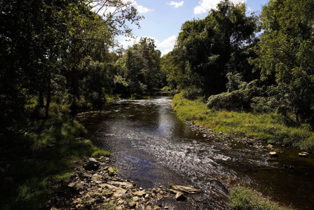 State Parks Pennsylvania A view of a stream and woods.
