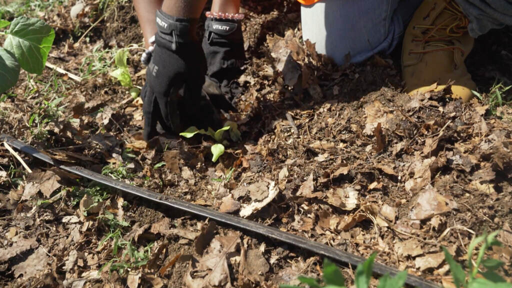 M&M-City-of-Soil Person digging in the ground.
