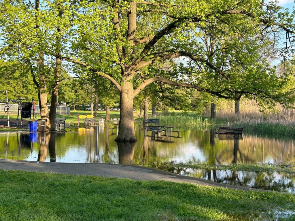 fdr-flooding-1 Flooding is visible in an area where there are benches under trees.