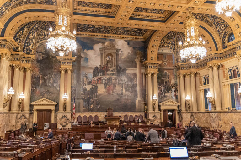The state house floor inside the Capital building in Harrisburg, Pa. (Kimberly Paynter/WHYY)