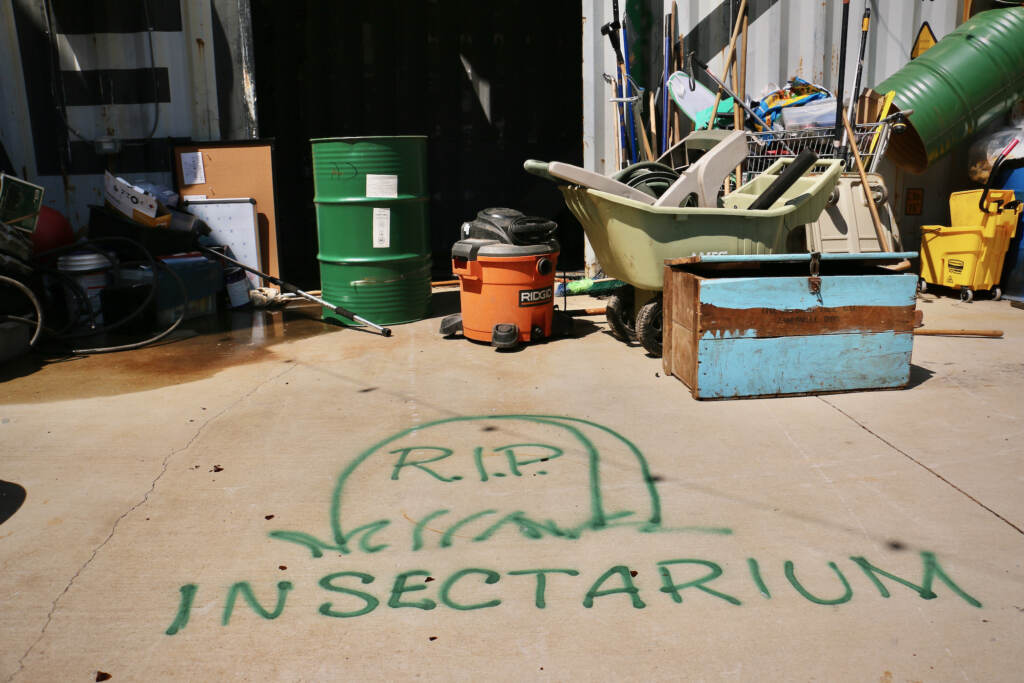 Graffiti written on the ground outside a building reads "R.I.P. Insectarium."