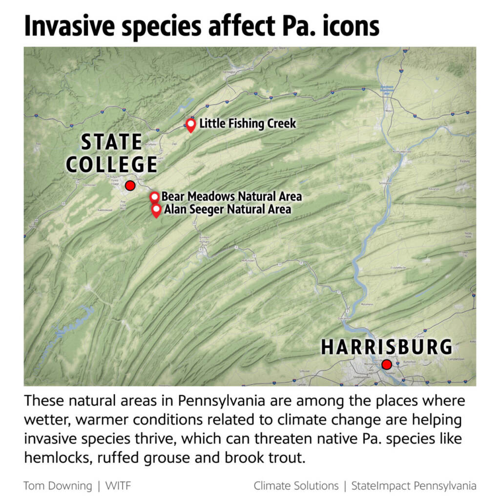 Invasive Species affect Pa. icons map