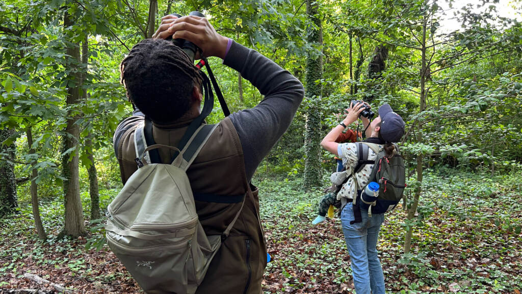 Tykee James, president of the DC Audubon Society, and Erin Connelly, holding her 10-month-old son, Louis, search in the treetops in Fort Slocum Park in Washington, D.C. Tykee James, president of the DC Audubon Society, and Erin Connelly, holding her 10-month-old son, Louis, search in the treetops in Fort Slocum Park in Washington, D.C.