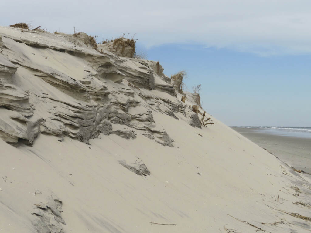 Defiant Beach Town A dune at the beach