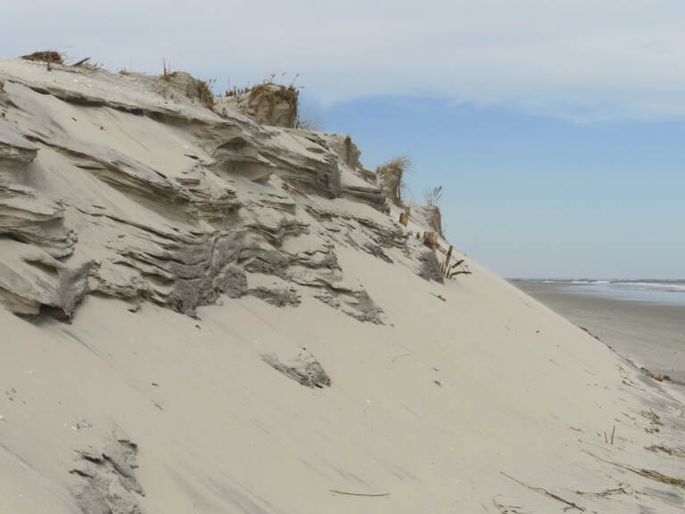 A dune at the beach