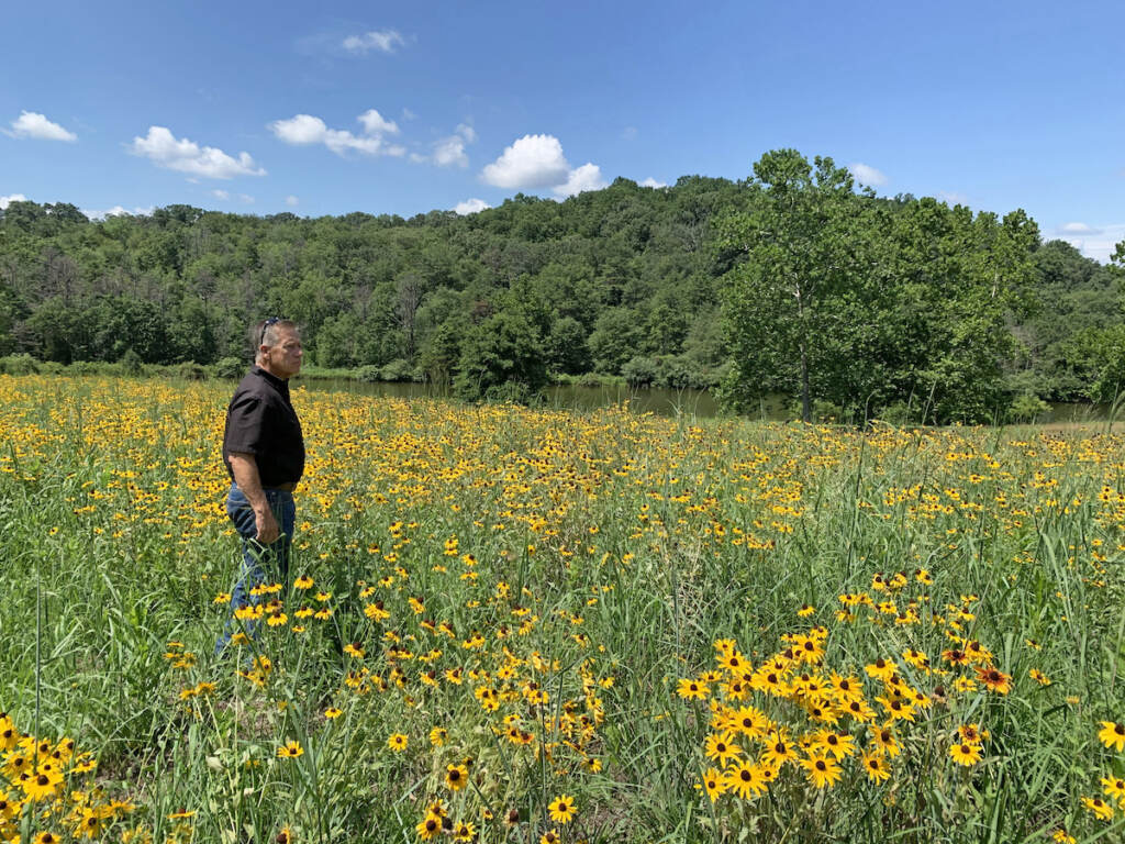 wildflower meadow Owen Prusack stands in a field of wildflowers on a sunny day.