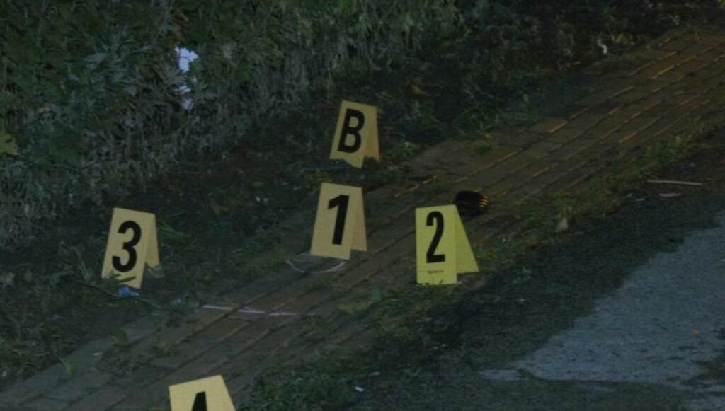 13424969_062523-wpvi-plateau-shooting-9am-video-vid Evidence markers at the crime scene in Fairmount Park.
