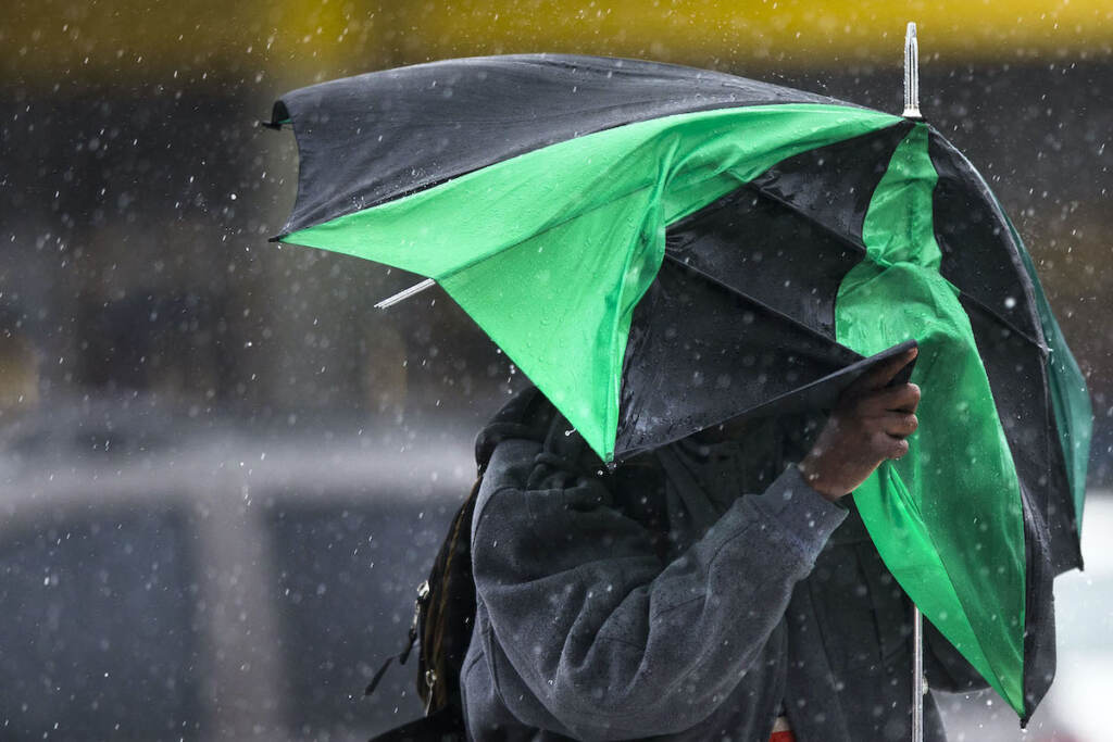 Pennsylvania Daily Life A pedestrian walks with little protection from his collapsed umbrella during a rainstorm