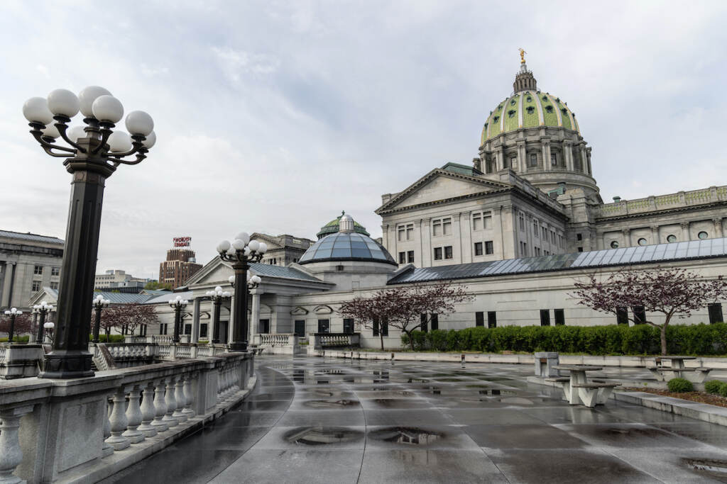 Ranunculus_-2 The state Capitol building