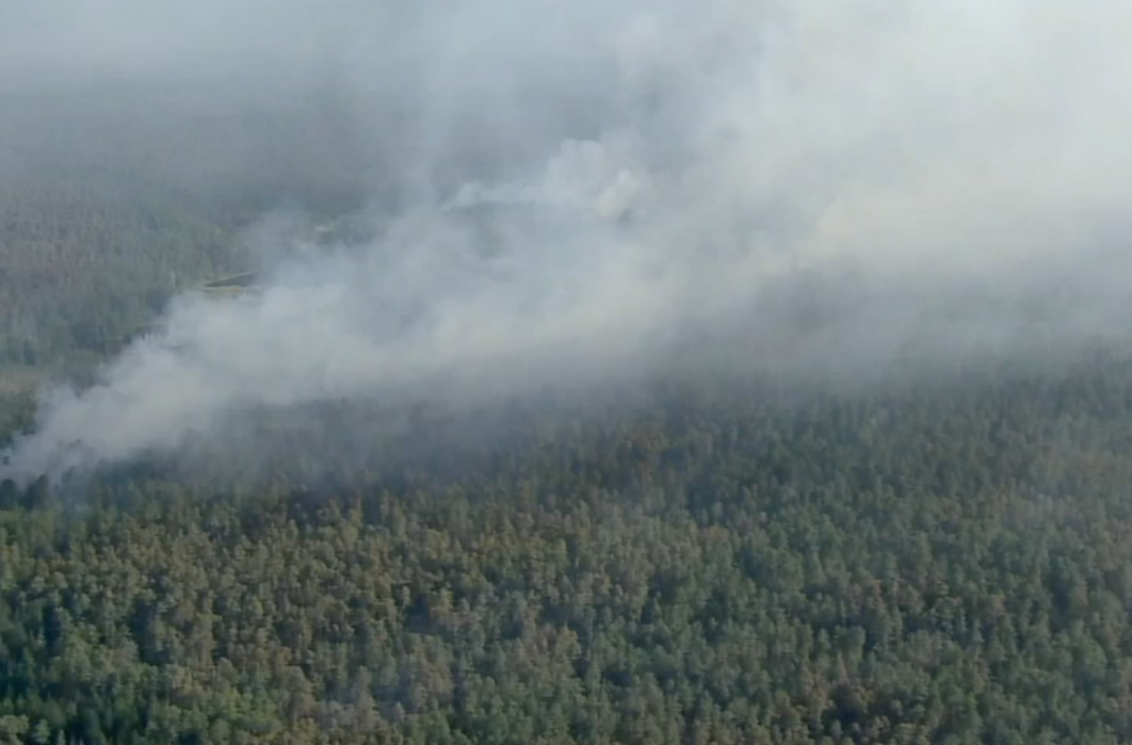 bass-state-forest-wildfire Overhead view of smoke coming up over the top of Bass State Forest.