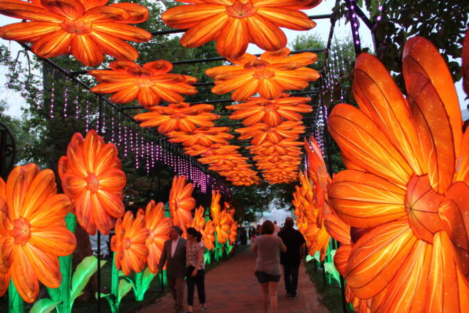Colorful lanterns lit up at the exhibit