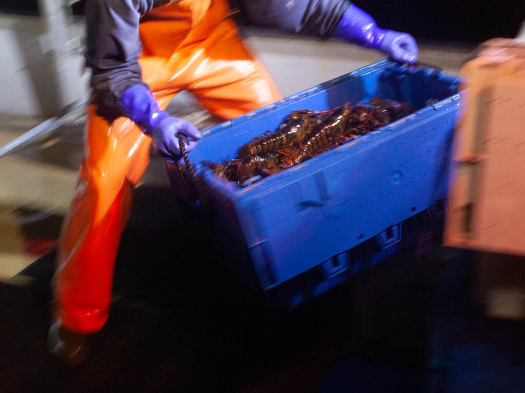 Federal officials say pop-up gear technology being piloted in the lobster industry could lead the way for other fisheries around the world that risk entangling whales