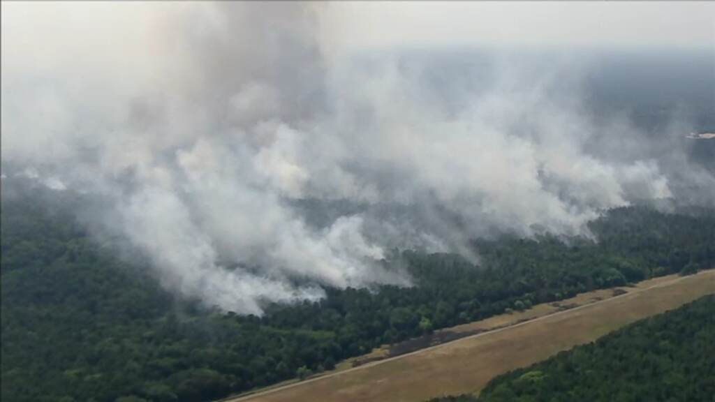 new-jersey-wildfires A view of plumes of smoke rising over the forest.