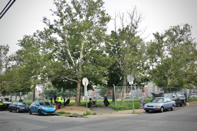 Intersection at the corner of the park.