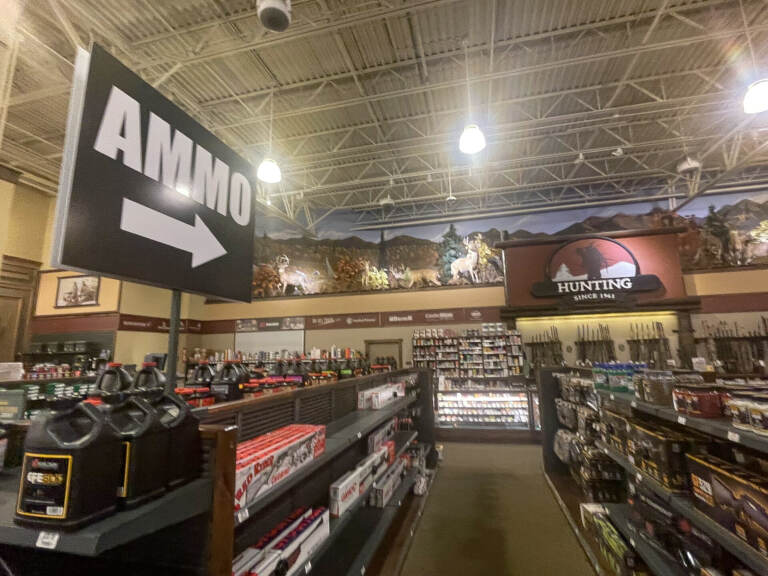 The guns and ammo section of Cabela's
