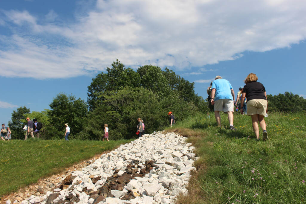 Many people walking outdoors on a tour.