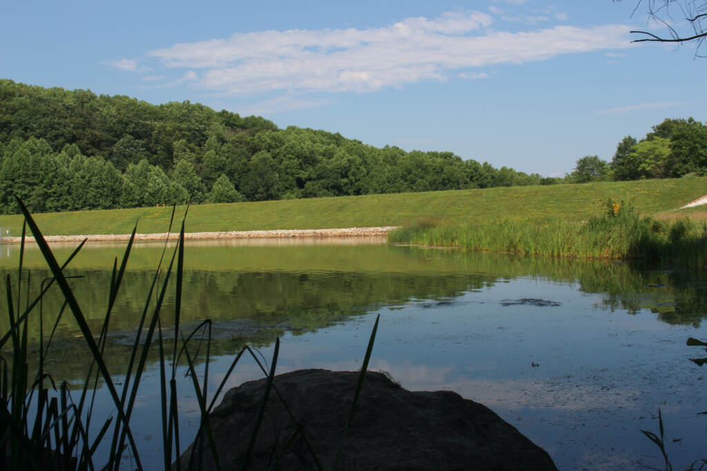 Hills and trees in the background of a small body of water.