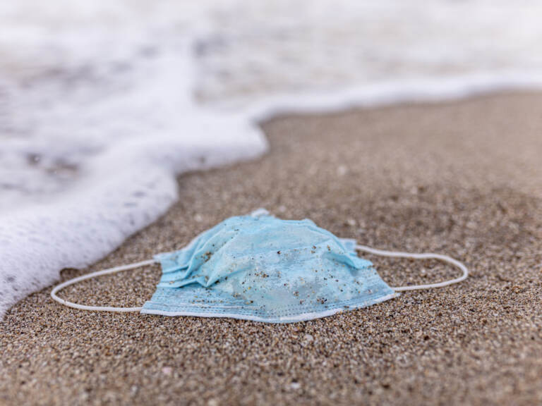 A surgical mask lies on the sand at a beach.