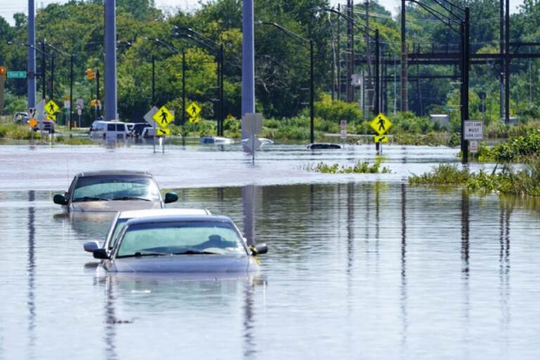 cars submerged in flood waters