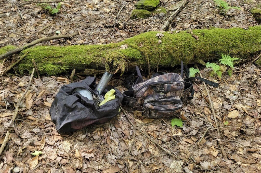 Two bags lie on the ground in the woods next to a log.