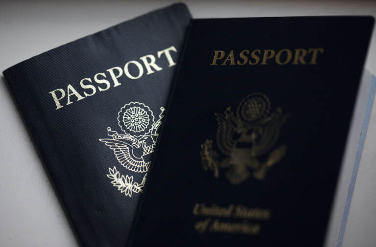 2 passport books