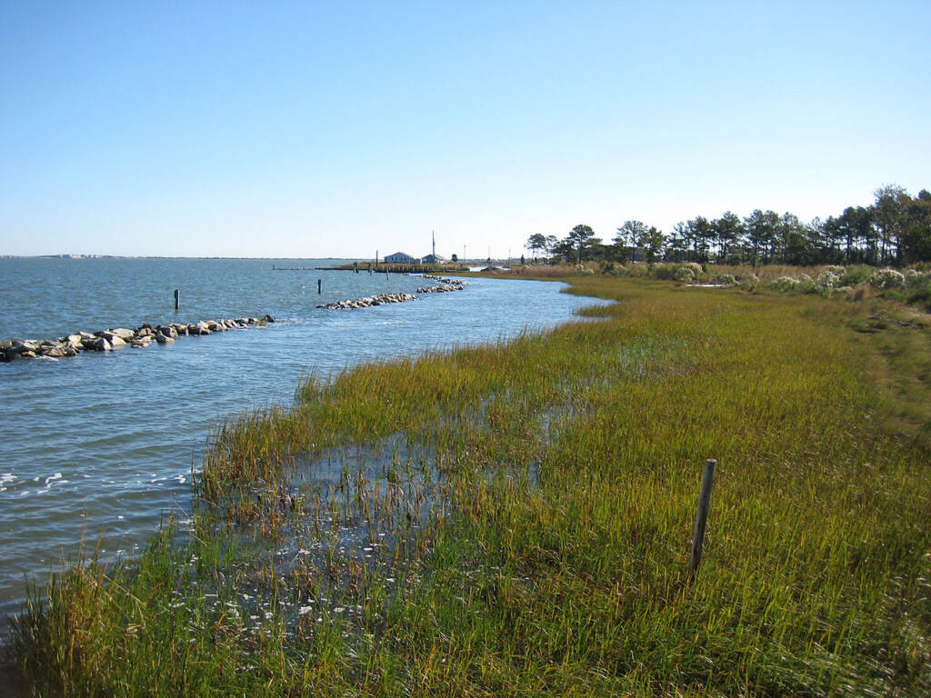 Indian_River_Bay-wikimedia-commons-2023-08-04 The Indian River Bay