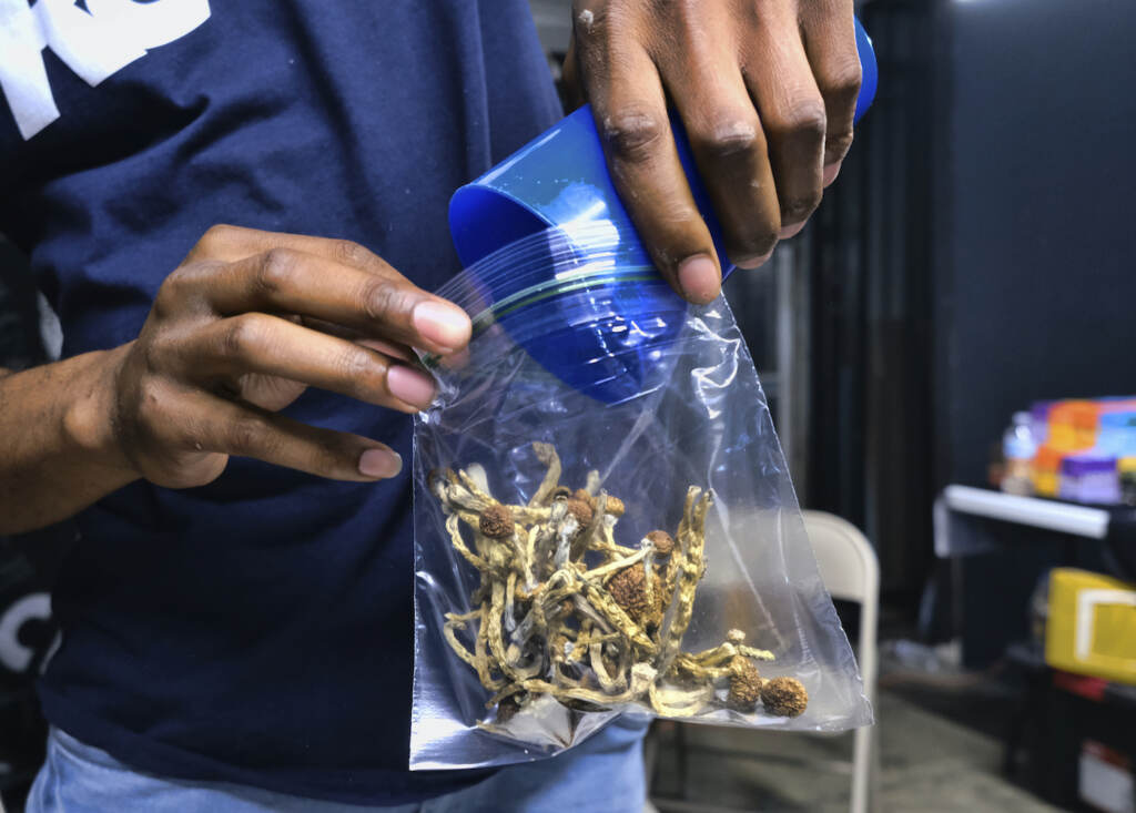 'Magic' mushrooms in a bag