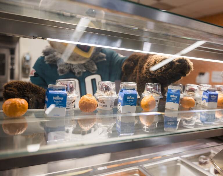 Items available at a Philly school cafeteria, with Eagles mascot Swoop in the background. (Courtesy School District of Philadelphia)