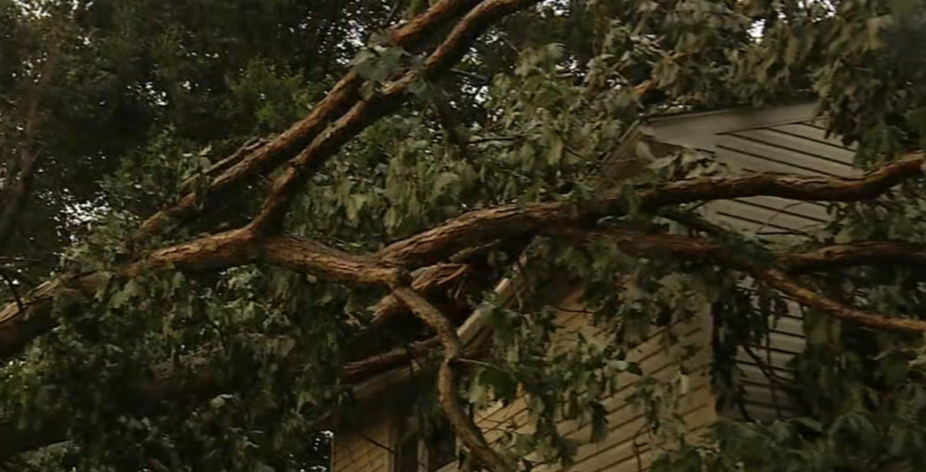 storm-damage-wpvi-080823 A tree is seen on top of a Newark, Delaware home